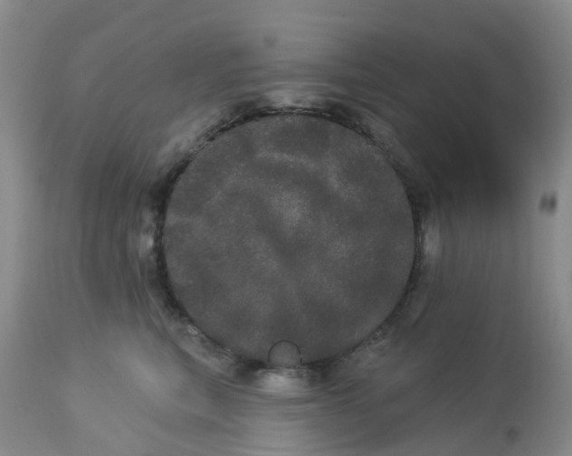 X0000113080567200909111006