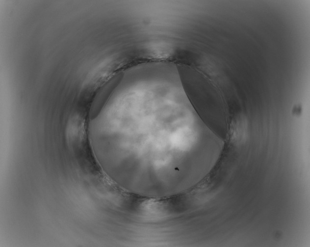 X0000113080568200909111006