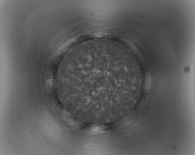 X0000113080569200909111006