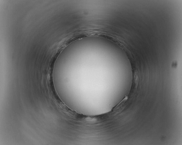 X0000113080570200909111006