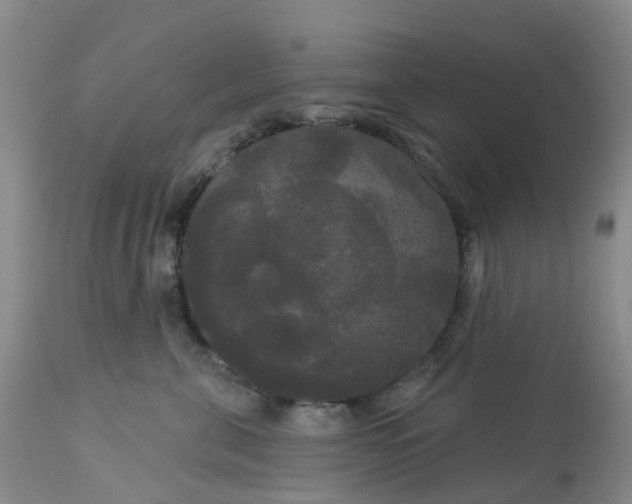 X0000113080571200909111006