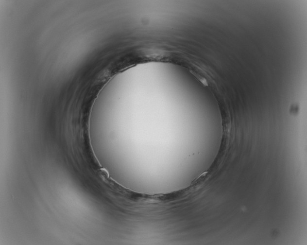 X0000113080572200909111006