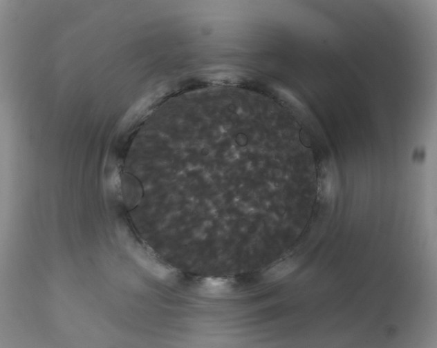 X0000113080573200909111006