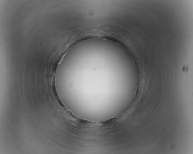 X0000113080576200909111006