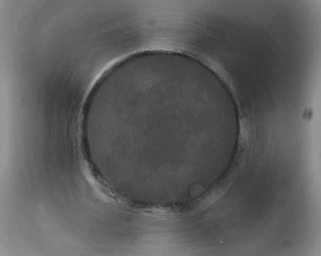 X0000113080580200909111005