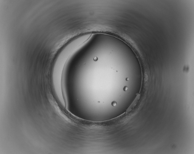 X0000113080581200909111005