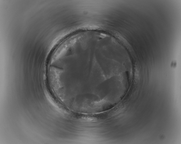 X0000113080582200909111005