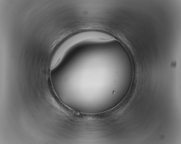 X0000113080585200909111005