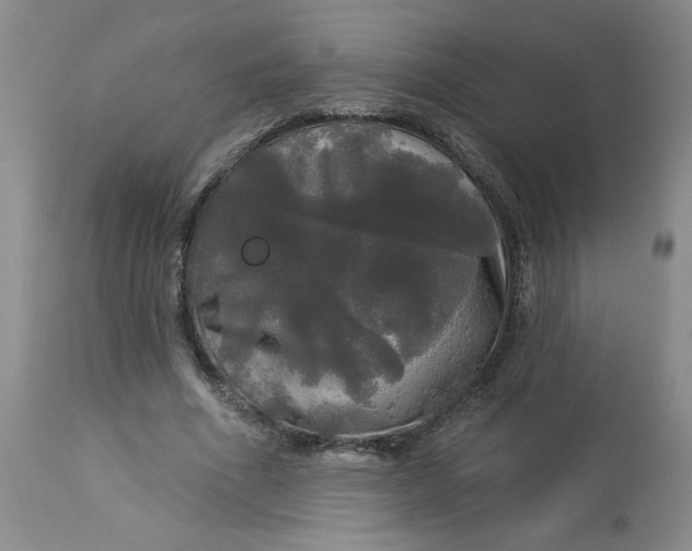 X0000113080586200909111005