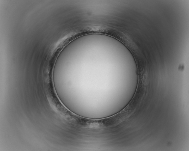 X0000113080587200909111005