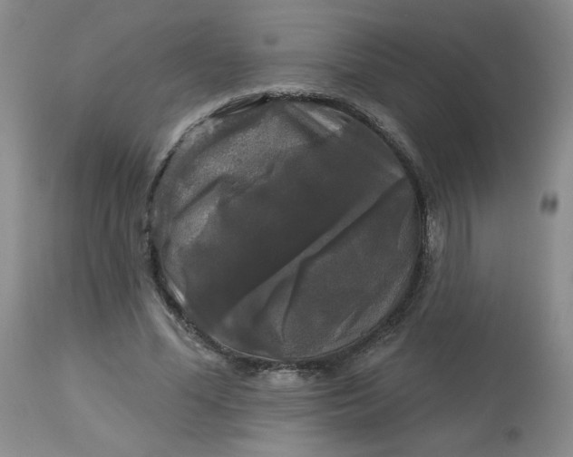 X0000113080588200909111005