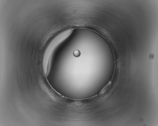 X0000113080589200909111005