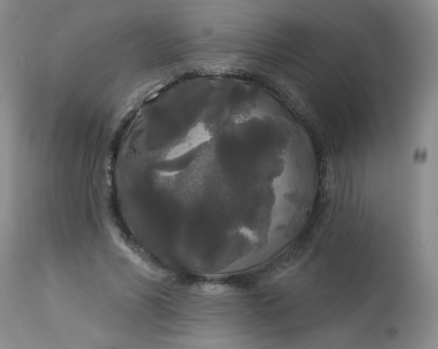 X0000113080590200909111005