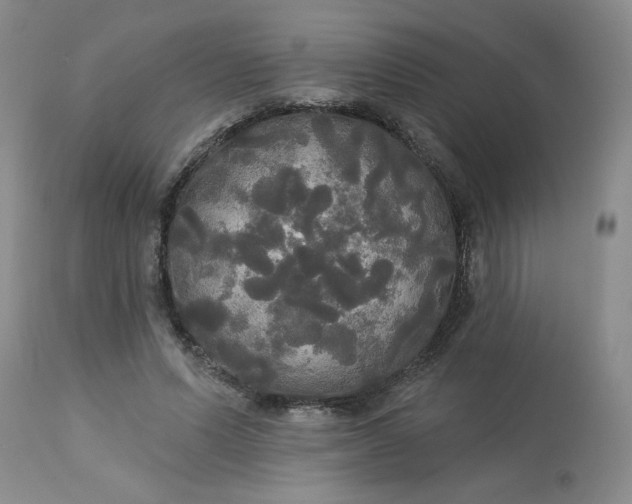 X0000113080591200909111005