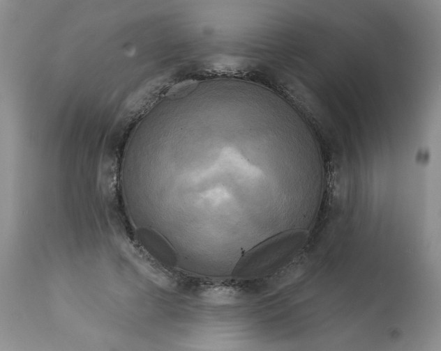 X0000113080593200909111005