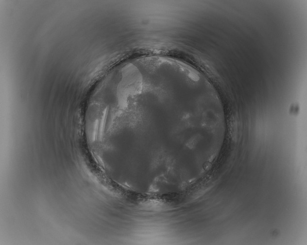 X0000113080594200909111005