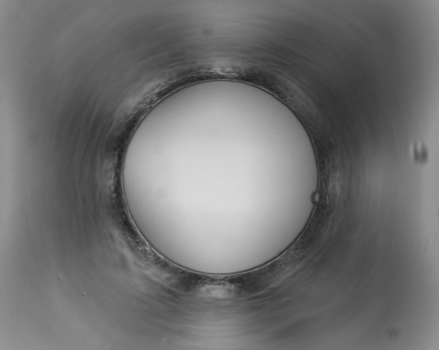 X0000113080595200909111005