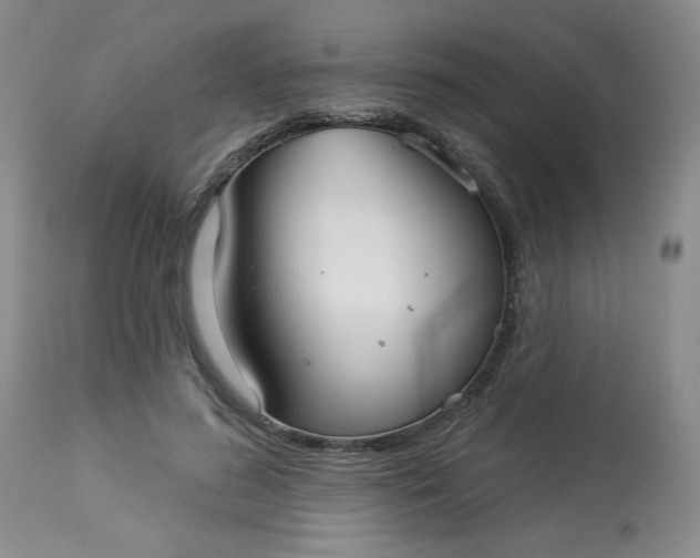 X0000113080596200909111005