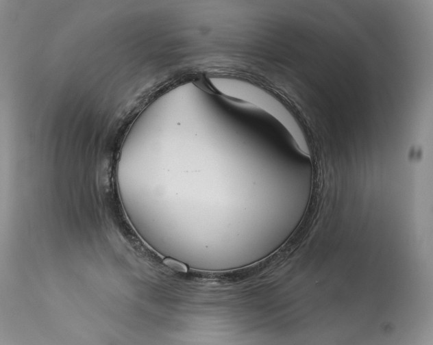 X0000113080597200909111005