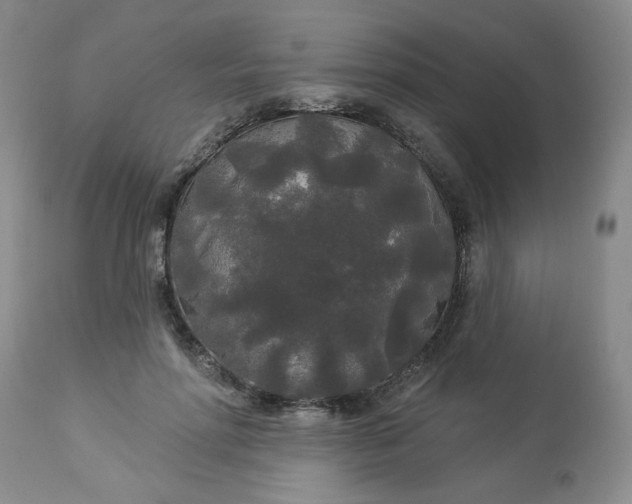 X0000113080598200909111005