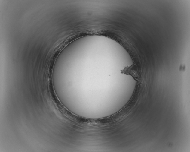 X0000113080599200909111005