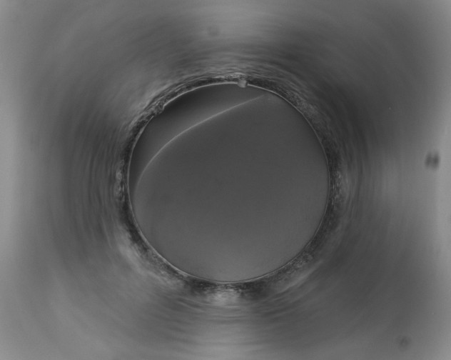 X0000113080600200909111005