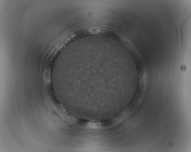 X0000113080606200909111005