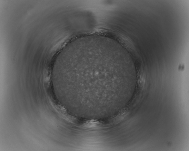 X0000113080607200909111005