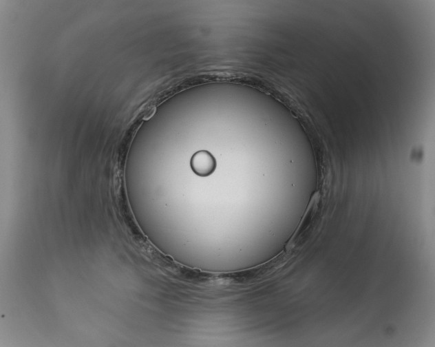 X0000113080609200909111005