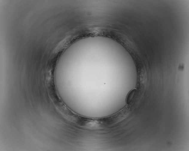 X0000113080611200909111005