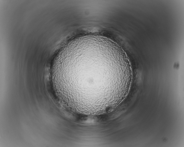 X0000113080612200909111005