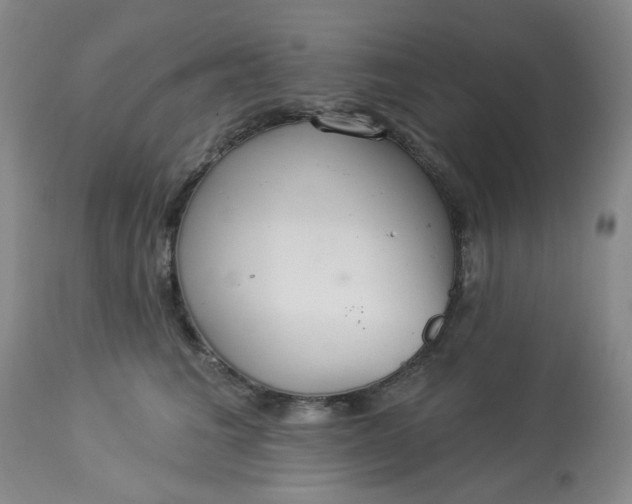 X0000113080613200909111005