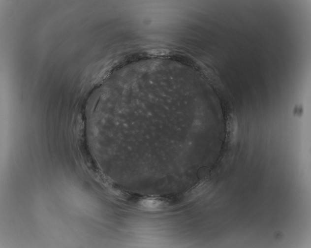 X0000113080614200909111005