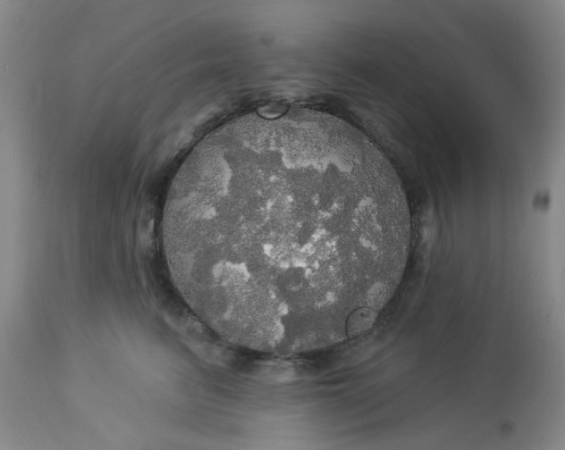 X0000113080615200909111005