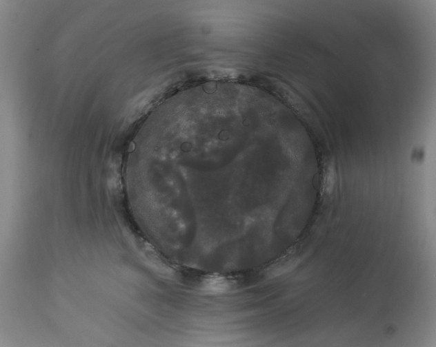 X0000113080616200909111005