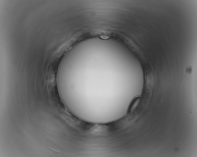 X0000113080617200909111005