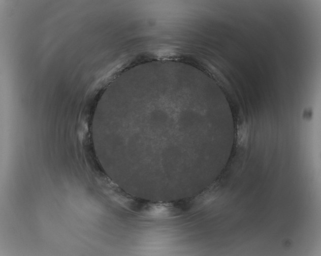 X0000113080618200909111005