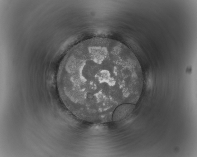 X0000113080619200909111004