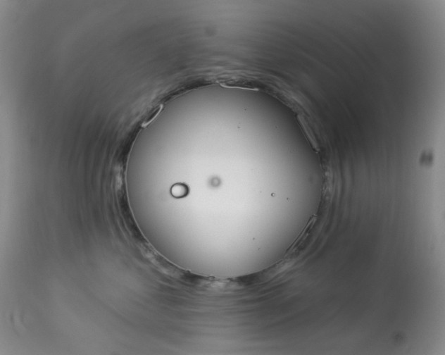 X0000113080621200909111004