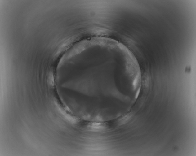 X0000113080622200909111004