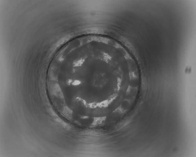 X0000113080625200909111004