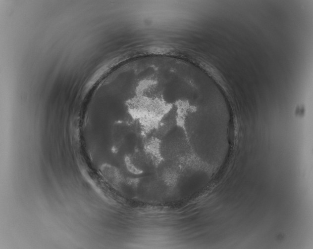 X0000113080626200909111004