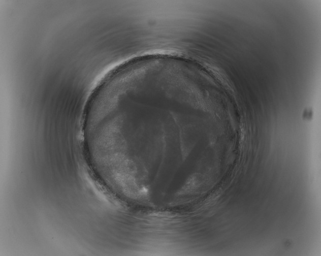 X0000113080628200909111004