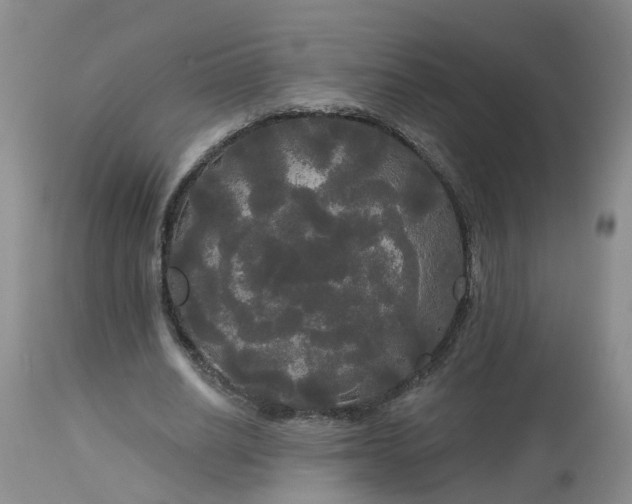 X0000113080630200909111004