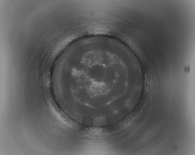 X0000113080631200909111004