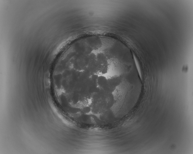 X0000113080634200909111004