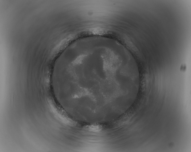 X0000113080639200909111004