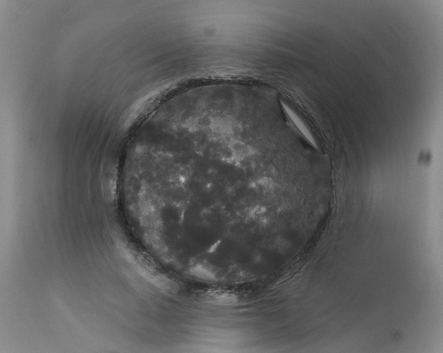 X0000113080640200909111004