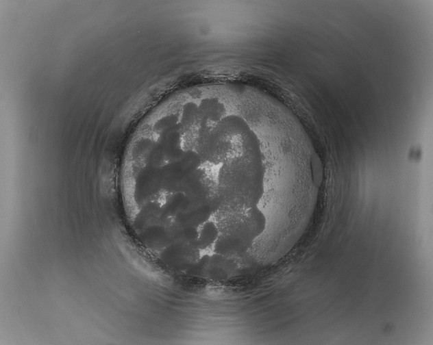 X0000113080641200909111004