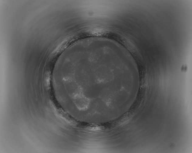 X0000113080646200909111004